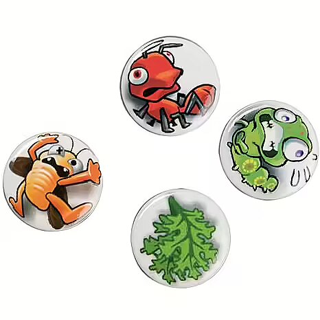 Robo chameleon food online